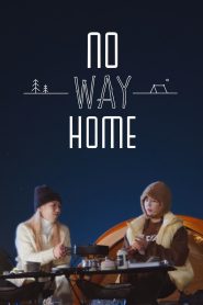 No Way Home (2024)