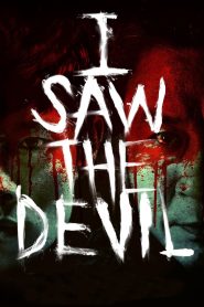 I Saw the Devil (2010)