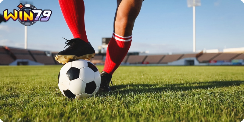 Bí Kíp Chinh Phục Mọi Trận Đấu